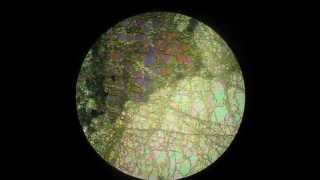 Olivine in polarizing microscope 2 [upl. by Leahcimal]