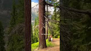 nuristan afghan afghanistan 🇦🇫 follow like travel nature mountains [upl. by Leighton]