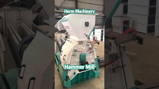 High Quality Feed Hammer Mill Grain Hammer Mill for Sale  Herm Machinery hammermill [upl. by Duquette]