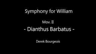 Symphony for William  Mov IIDianthus BarbatusDerek Bourgeois [upl. by Li520]