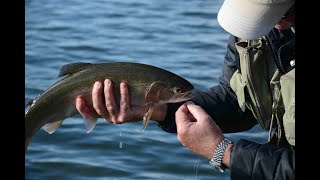 Grafham Waters fabulous Bank Fly Fishing  November 2019 [upl. by Ramled866]