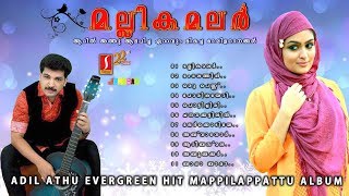 Mallika malar Athil Athu Hits Romantic Mappilapattu album ഹിറ്റ് മാപ്പിളപ്പാട്ടുകൾ [upl. by Fiore588]