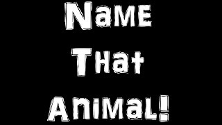 Ohio Wildlife  Animal Quiz [upl. by Anelahs]