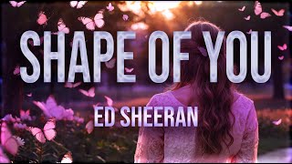 Ed Sheeran  Shape of You Lyrics [upl. by Beniamino210]