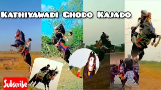 kajado ghodo kathiyawadi horse kajado fuleku kudva vala ghoda  horse lovers amp horse power 🔥😱 [upl. by Ardnuasac]