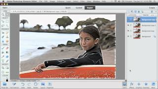 Photoshop Elements 11 Filter Effects [upl. by Inness]