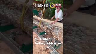 ROLLING A MASSIVE LOG [upl. by Ahseekal]