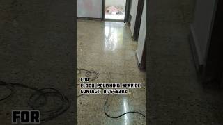 Restoration and Polishing of Damaged Mosaic Floor floorcare floorpolish home [upl. by Darcie]