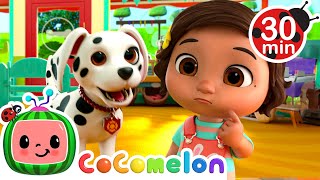 What Does a Dogs Woof Mean Ninas Pet Store Song  CoComelon  Nursery Rhymes for Babies [upl. by Gensmer]