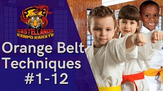 American Kenpo Karate Orange Belt Techniques 112 [upl. by Gilman120]