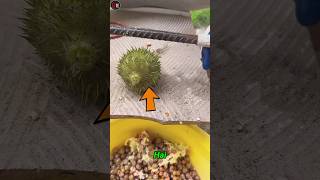 Unique Chinese Fruit 🍏 shorts education viral [upl. by Oigolue]