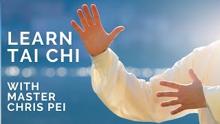 Tai Chi for Beginners  Best Instructional Video for Learning Tai Chi [upl. by Madai]