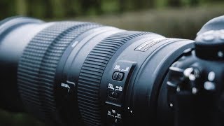 Nikon 200500mm f56 Wildlife Photography field REVIEW  Bird Photography Tips [upl. by Baoj]