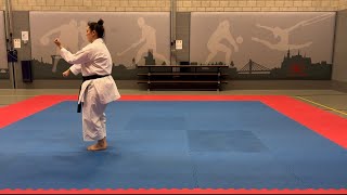 Heian Sandan  heian kata tutorial for the green belt Shotokan karate [upl. by Llerrehc817]