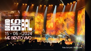 David Bisbal Concierto Barcelona  15 Junio 2024 [upl. by Dwain]