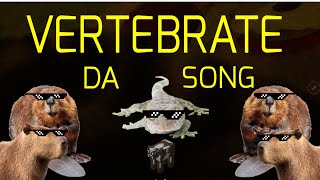 The Vertebrates Song Da vertebrate [upl. by Hanas389]