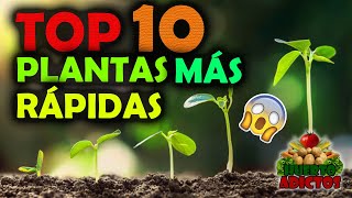 Los 10 Cultivos Que Crecen Más Rápido 🌱Huertos Urbanos  Huerto Adictos [upl. by Dyan]