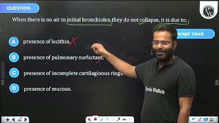 When there is no air in initial bronchioles they do not collapse it is due to [upl. by Mintz]