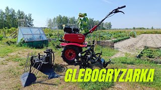 Nowy nabytek glebogryzarka Hortmasz HGS 900 i pierwsza uprawa pod poplon [upl. by Aiouqes]