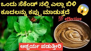 Natural Hair Dye 👉ಯಾವ ಹೇರ್ ಕಲರ್ ಹೇರ್ ಡೈ ಬೇಡ ಇದನ್ನು ಹಚ್ಚಿ ನೀವೇ ಆಶ್ಚರ್ಯ ಪಡುತ್ತೀರಾ 😱 [upl. by Fonda147]