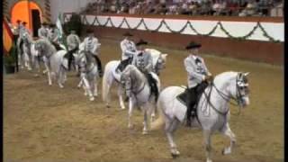 Royal Andalucian School of Equestrian Art [upl. by Chesnut]