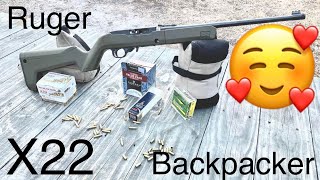 Unboxing Initial Shots and Thoughts of the Ruger 1022 Takedown Backpacker [upl. by Deyas]