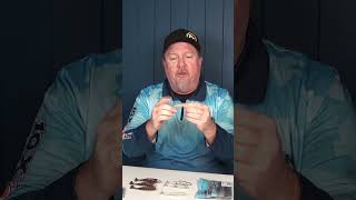 Jighead Selection Tips  ZMan Mulletron fishing softplastic lurefishing zman mulletron shorts [upl. by Suchta5]