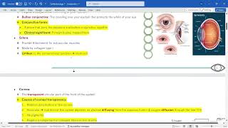 Ophthalmology 1  Anatomy amp introduction [upl. by Aytac]