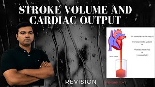 Stroke volume and Cardiac output [upl. by Lanoil136]