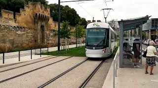 Alstom Citadis Compact en tramway dAvignon [upl. by Suedama177]