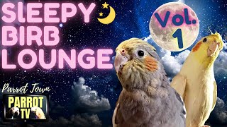 Sleepy Birb Lounge Vol 1 Calm Piano Music for Birds  Parrot Music TV for Your Bird Room🎶 [upl. by Aerbma133]