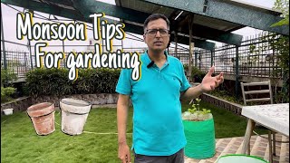 Monsoon Tips for Gardening [upl. by Gabler]