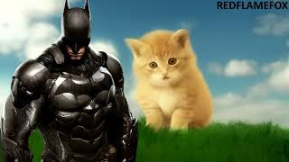 BATMAN Canta il GATTINO VIRGOLA  AI Cover [upl. by Eillo]