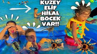 KUZEY ELİF VE HİLALLE DENİZE HAVUZ KURDUK HAVUZA BÖCEKLER GİRDİ KAÇIN HİLALTV33 KuzeyElif [upl. by Tannenbaum]