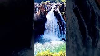 Duwili ella 🍃🌱😍  waterfall in Kalthota shortvideo srilanka travel Suddi waterfall balangoda [upl. by Uta]