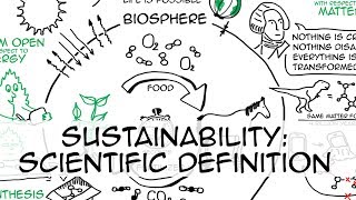 Sustainability simple definition whiteboard animation [upl. by Dionis]