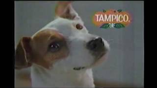 Propaganda Tampico Perro que habla Años 90 [upl. by Roseline]