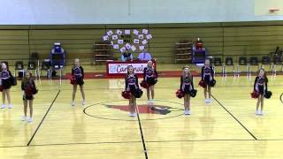 Landrum Middle School  Basketball Cheerleaders  2014 [upl. by Yemorej58]