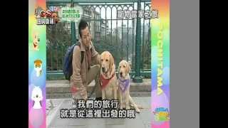 寵物當家之旅20110422大介比賽和懷念雅夫記錄 [upl. by Sirotek]