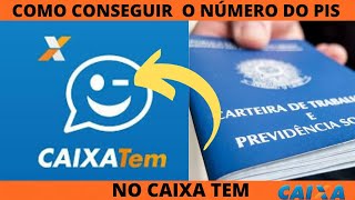 COMO CONSEGUIR O NÚMERO DO PIS PELO CAIXA TEM PASSO A PASSO [upl. by Eisdnyl559]