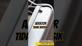 Tidak Berisik  Review Aerator Murah Terbaik  Budidaya Lobster Air Tawar aerator kolam lobster [upl. by Chivers824]