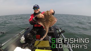 SIB Fishing Old Harrys rocks amp Poole 6 SPECIES [upl. by Ainat665]