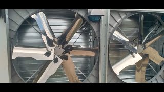 EXTRACTOR FANS  PART 1 WHAT ARE THEY AND INTRODUCTION TO THEIR APPLICATION [upl. by Anirdna992]