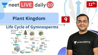 NEET Plant Kingdom  L9  Gymnosperms  Class 11  Live Daily 20  Unacademy NEET  Pradeep Sir [upl. by Yrrej]