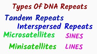 DNA Repeats  Tandem and Interspersed Repeats [upl. by Petula]