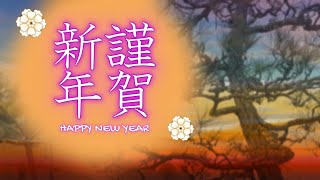 動く年賀状動画2025年 謹賀新年 年賀状グリーティング動画 ＃2025動く年賀状 [upl. by Caryn812]