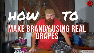 How to make Brandy  Home made Brandewyn with real grapes [upl. by Nerrag]