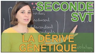 La dérive génétique  SVT Seconde  Les Bons Profs [upl. by Ruenhcs]