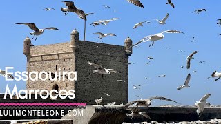 O que visitar em Essaouira Marrocos 🇲🇦 Things to in Essaouira Morocco [upl. by Mccormac]