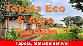 Tapola Eco amp Agro Tourism Tapola Maharashtra  Lake View budget Resort  Tent Camping Tapola [upl. by Soo]